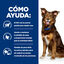 Hill's Prescription Diet Metabolic Estofado de Pollo y Vegetales lata para perros, , large indicador imagen numero 3